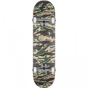 TABLA SKATE COMPLETA GLOBE G1 FULL ON 8.0"