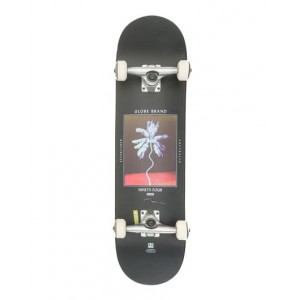 TABLA SKATE COMPLETA GLOBE G1 PALM OFF 8"